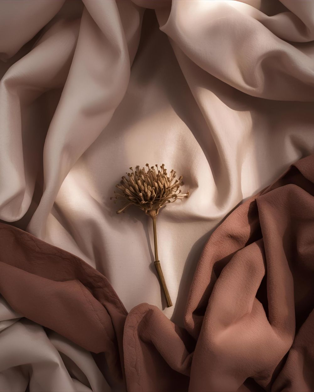 Musk scent family. Intimate, velvety, and elemental. A sensory composition of soft textures, muted tones, and quiet warmth.